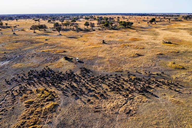 Okavango Delta - Botswana © Droits reservés