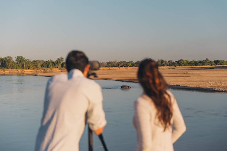 Watching wildlife - Zambia © Droits reservés