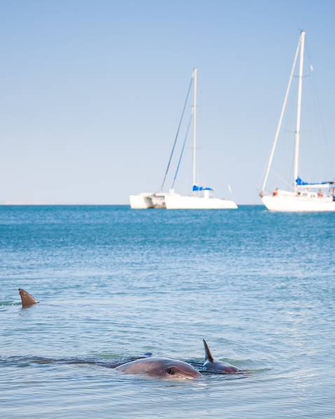 Itinerary Western Australia