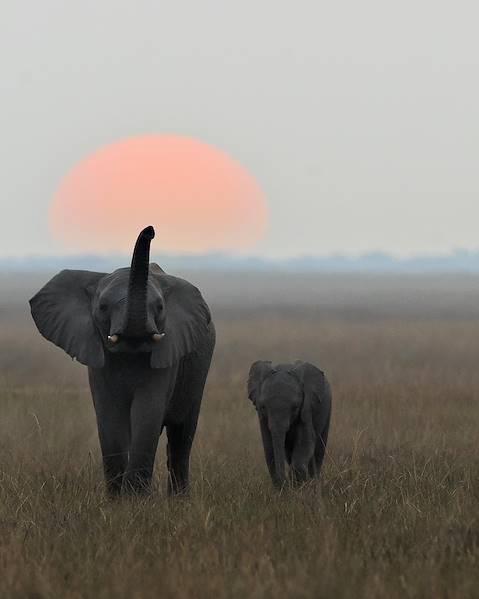 Itinerary The Okavango Delta & Beyond ,The Kalahari & Makgadikgadi Pans