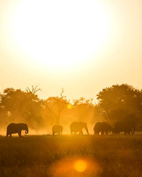 Itinerary Southern Mozambique & Bazaruto Archipelago,The Okavango Delta & Beyond