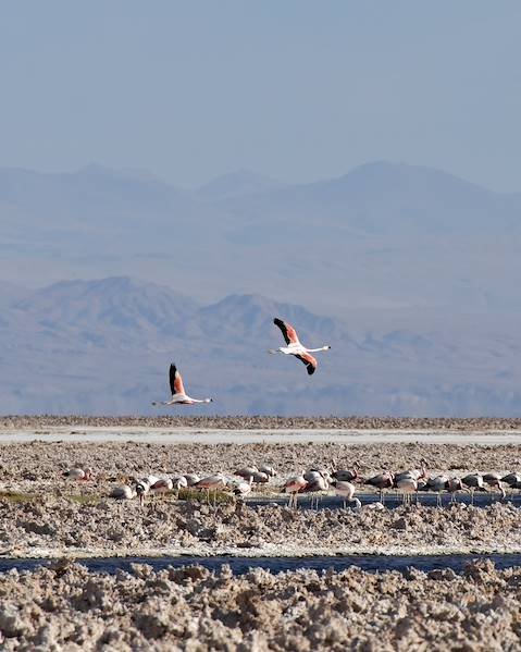 Itinerary Chile - Santiago - Valparaiso - Atacama - Bolivia - Uyuni