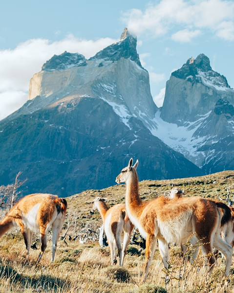 Itinerary Torres del Paine National Park,Santiago & Central Valley,Atacama Desert