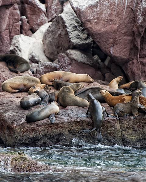 Itinerary Galapagos Archipelago