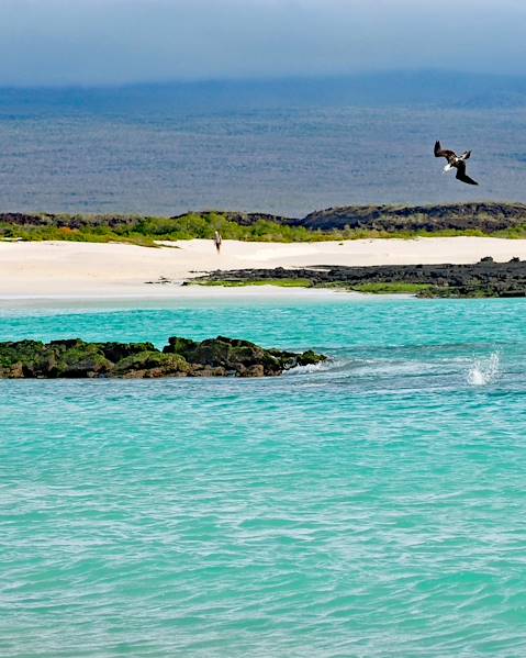 Itinerary Galapagos Archipelago ,Quito and The Highlands