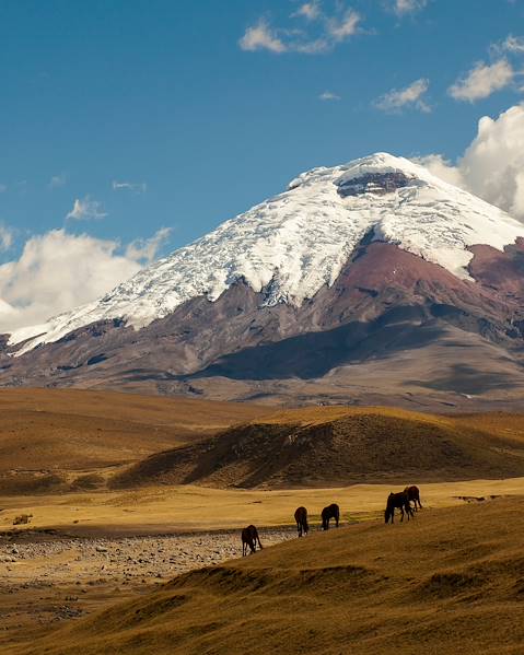 Itinerary Otavalo - Quito - Cotopaxi National Park - Misahualli (Amazon) - Manta - La Rinconada