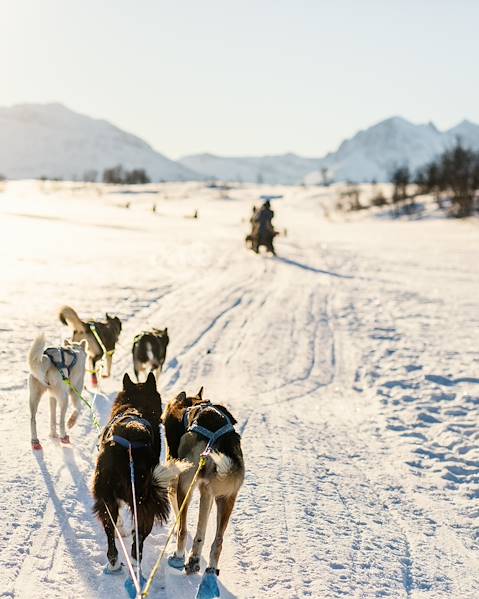 Stay Finland - Lapland