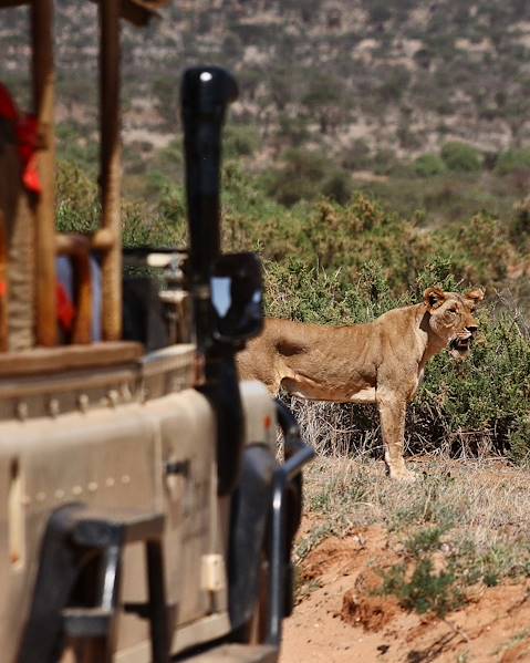 Itinerary Samburu, Meru & the North,The Masai Mara