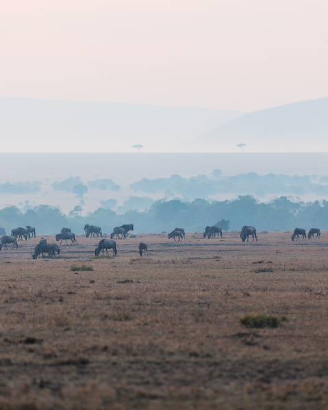 Itinerary Nairobi - Mount Kenya - Lake Nakuru - Masai Mara