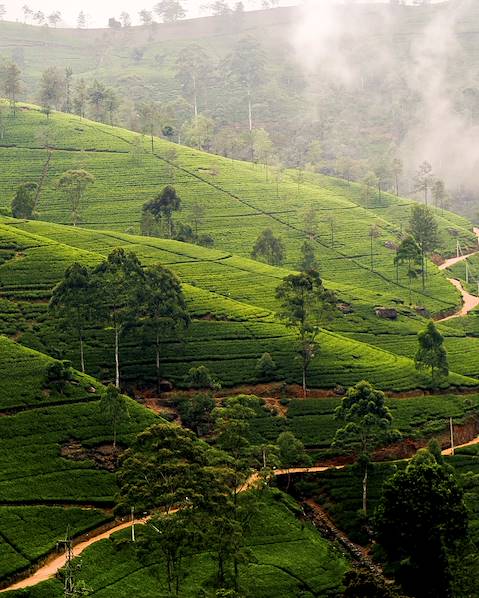 Itinerary Sri Lanka