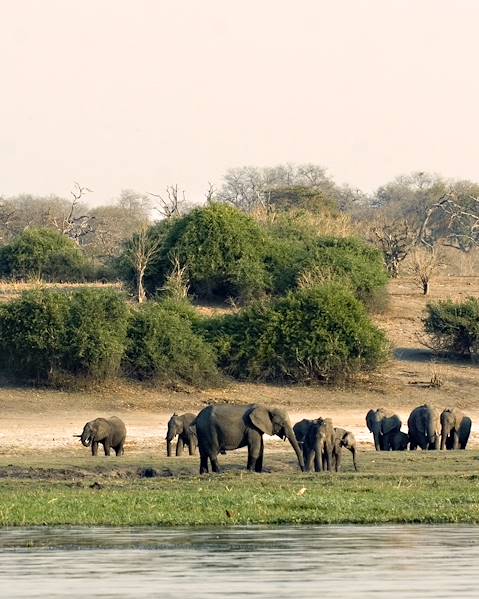 Itinerary Namibia - Zimbabwe - Botswana