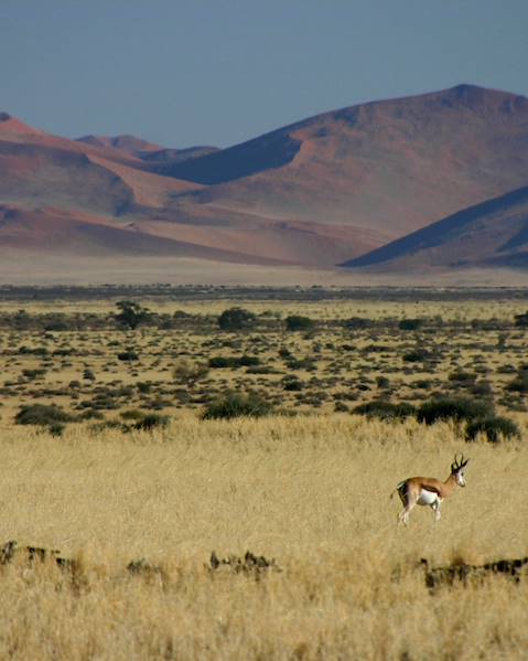 Itinerary The Namib Desert