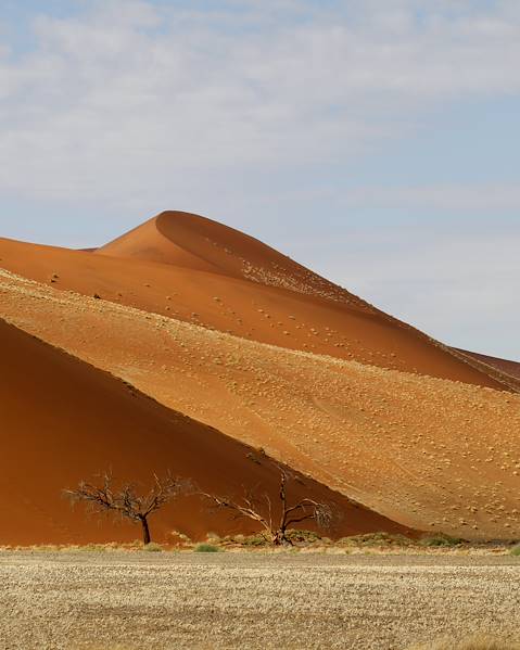 Itinerary Namibia - Etosha - Damaraland - Walvis Bay - Namib