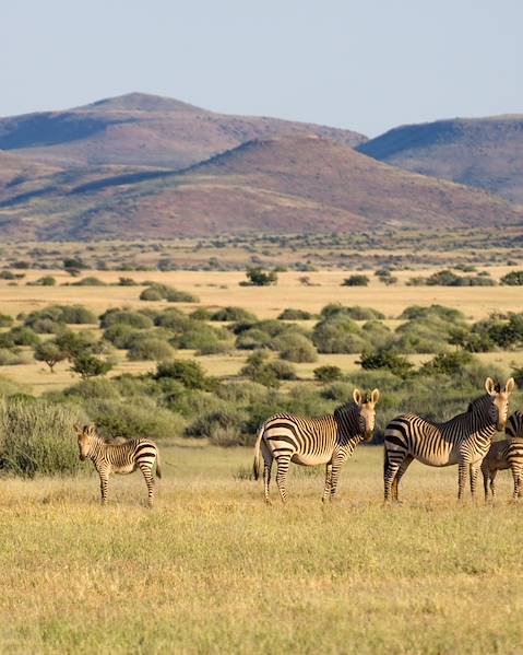 Itinerary The Namib Desert ,Etosha & Damaraland