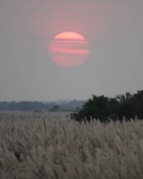 Itinerary Windhoek - Okonjima - Etosha - Rundu - Divundu - Bwabwata - Victoria Falls