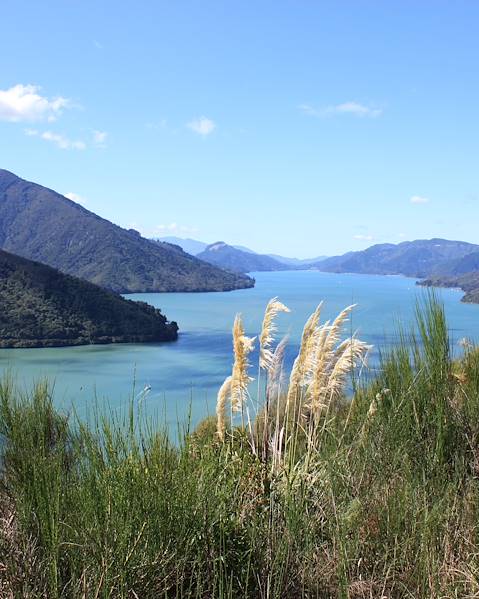 Itinerary Rotorua & Taupo,Auckland & Waiheke Island,Queenstown & Wanaka,Wellington & Martinborough,Blenheim & Marlborough