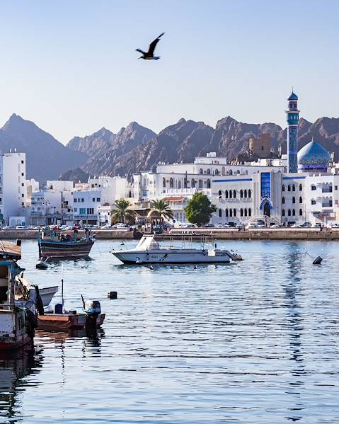 Itinerary Muscat - Nizwa - Wahiba Desert - Zanzibar - Stone Town