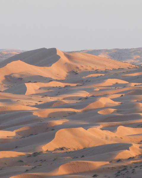 Itinerary Muscat - Wahiba Desert - Rub Al Khali Desert – Arabian Coast - Salalah