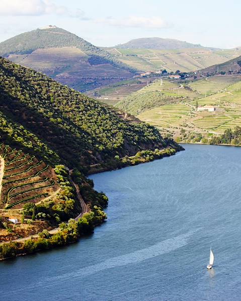 Stay Portugal - Douro