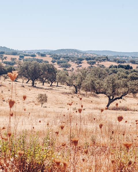 Itinerary Lisbon,The Alentejo