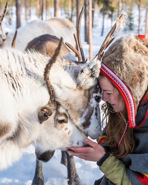 Itinerary Lulea - Harads