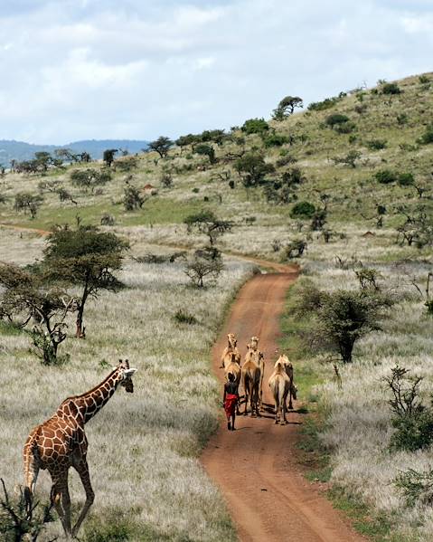 Itinerary The Masai Mara,Seychelles