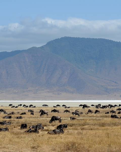 Itinerary Ngorongoro Crater & Northern Tanzania,The Endless Serengeti Plains