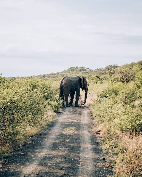 Itinerary Arusha - Tarangire - Ngorongoro - Olduvai - Serengeti