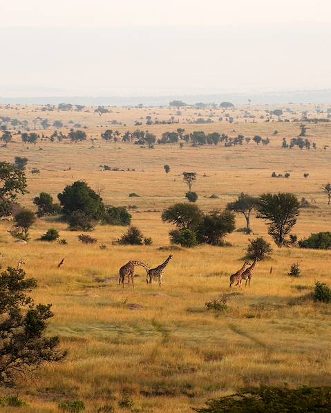 Itinerary The Endless Serengeti Plains,The Selous & Ruaha National Parks,Zanzibar