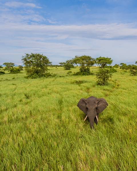 Itinerary Bwindi Impenetrable Forest,Queen Elizabeth National Park