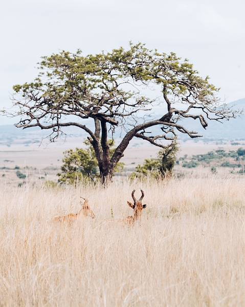 Itinerary Eastern Cape