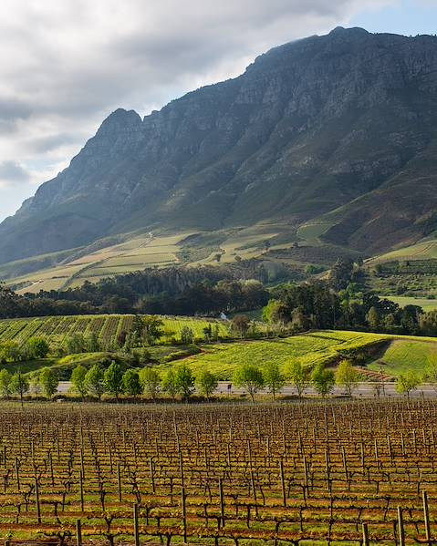 Itinerary The Winelands and Cape,Cape Town