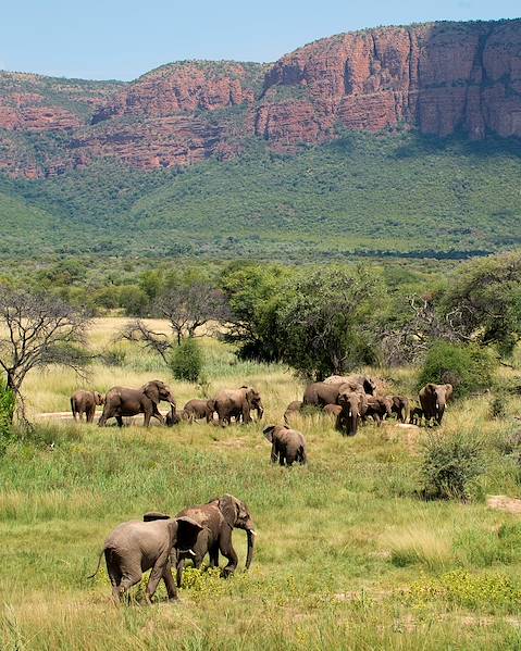 Itinerary Madikwe & The Waterberg,Southern Mozambique & Bazaruto Archipelago