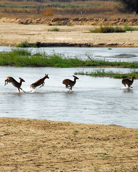 Itinerary The South Luangwa