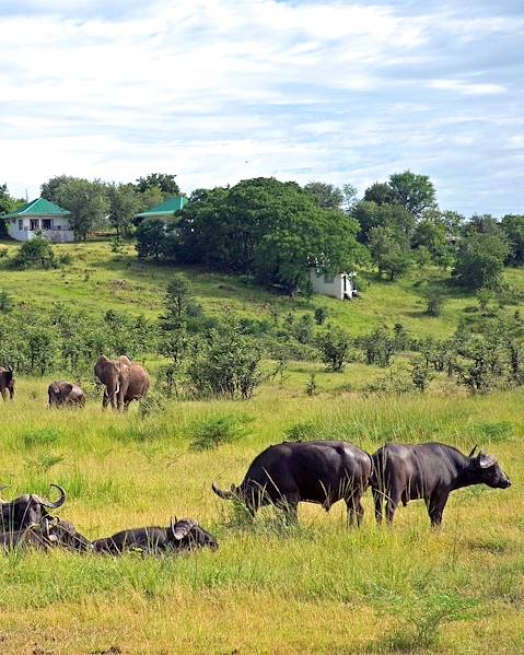 Itinerary Lower Zambezi National Park,The South Luangwa