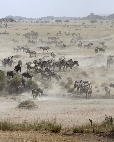 Itinerary Mana Pools,Hwange,Victoria Falls